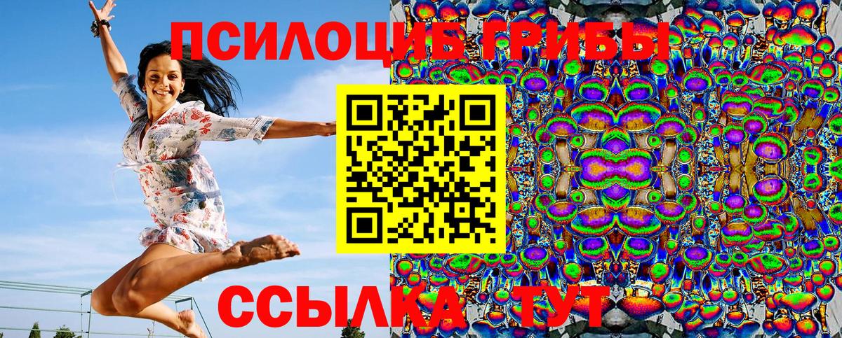 как найти наркотики  Псилоцибиновые грибы мицелий  Вход с VPN  Зеленогорск 